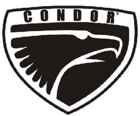 Condor.jpg